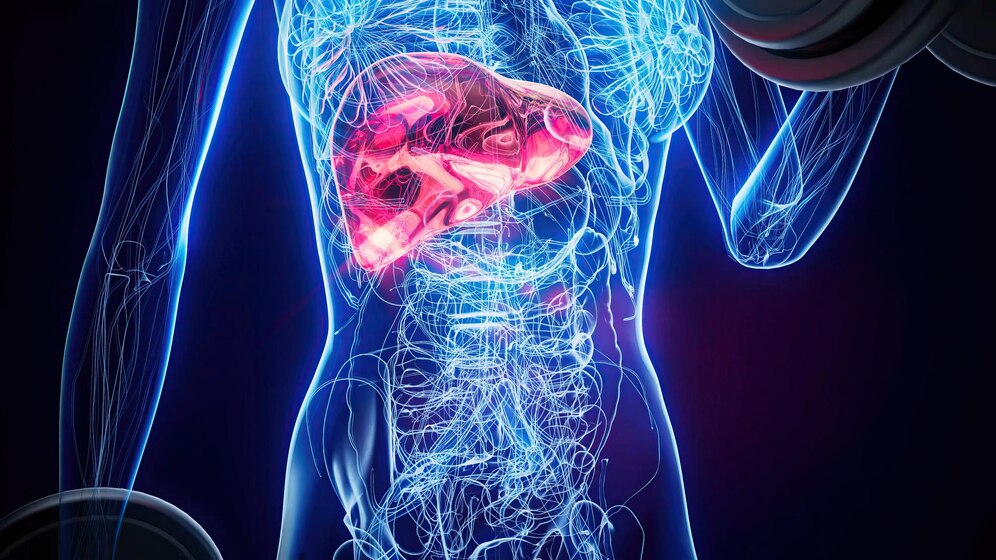 Kidney Overview