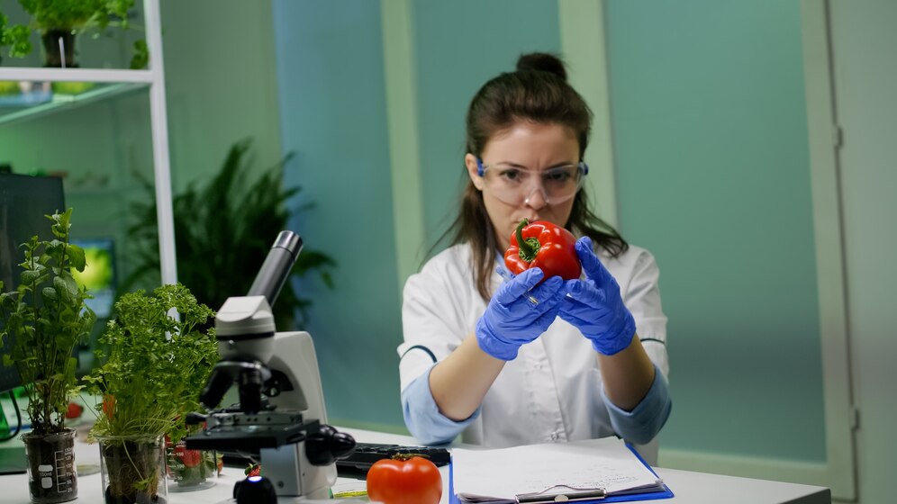 Understanding Food Allergies: Symptoms, Testing, and Management