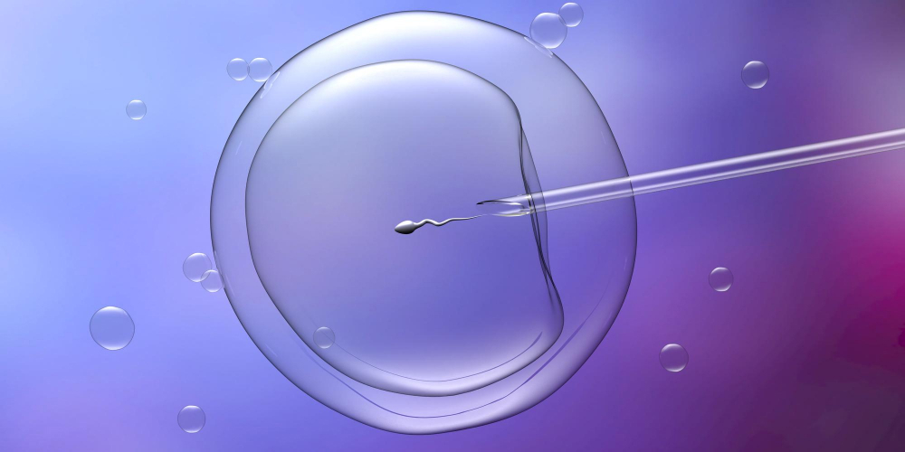 In Vitro Fertilization (IVF) Services